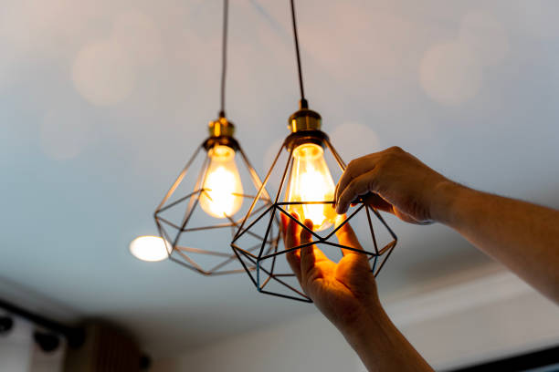 Best Electric Panel Repair  in Grant City, MO